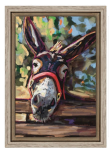 Fergus the Donkey Framed Canvas