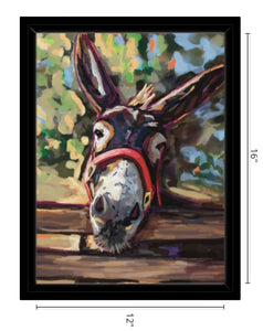 Fergus the Donkey Framed Canvas