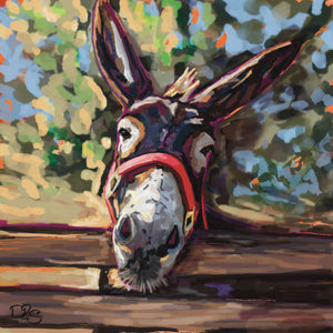 Fergus The Donkey Canvas 1.5" deep gallery wrap 12" x 12"