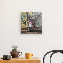 Load image into Gallery viewer, Fergus the Donkey Canvas